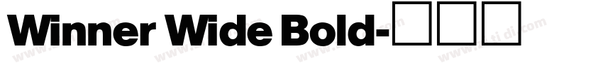 Winner Wide Bold字体转换